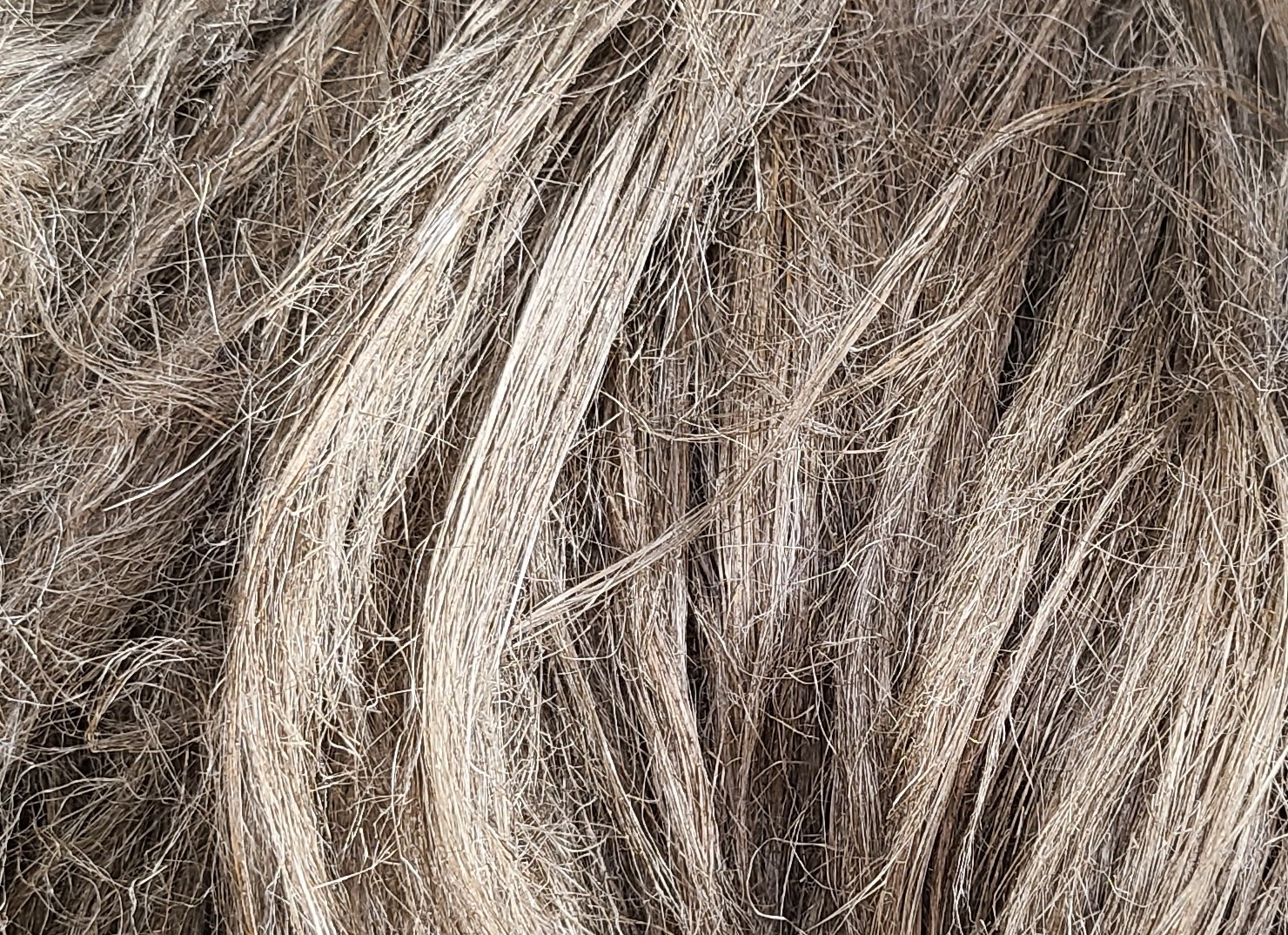 20221025_133915 - Copie